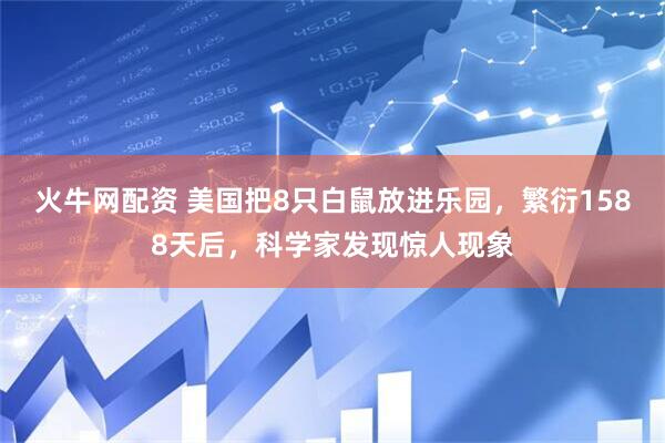 火牛网配资 美国把8只白鼠放进乐园，繁衍1588天后，科学家发现惊人现象